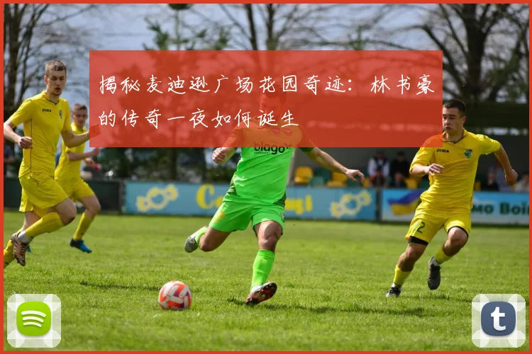 揭秘麦迪逊广场花园奇迹：林书豪的传奇一夜如何诞生